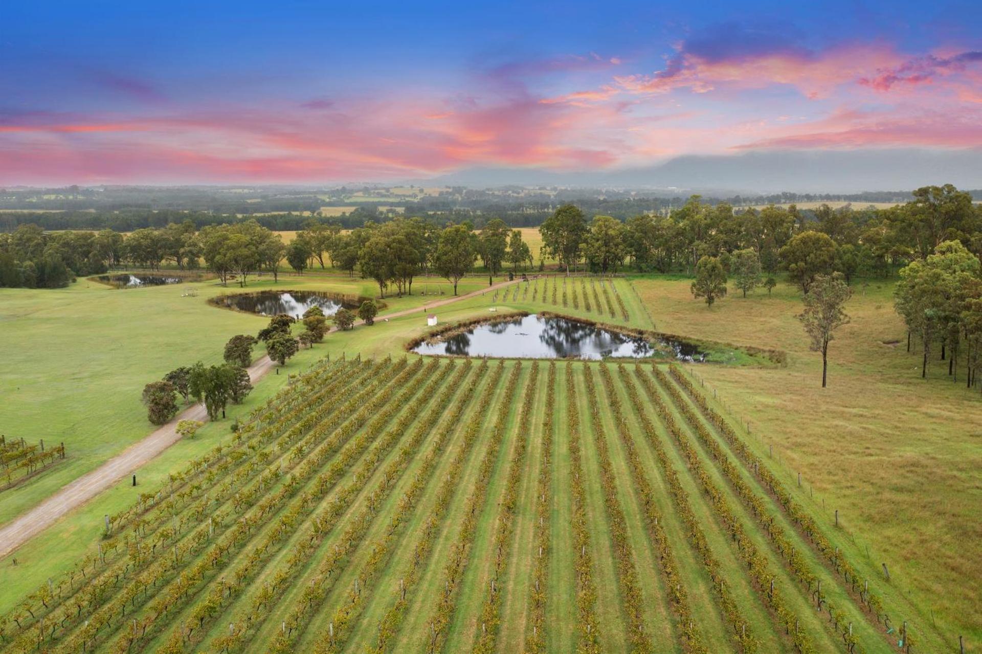 Bracken Ridge Vineyard The Entire Estate Rothbury Εξωτερικό φωτογραφία