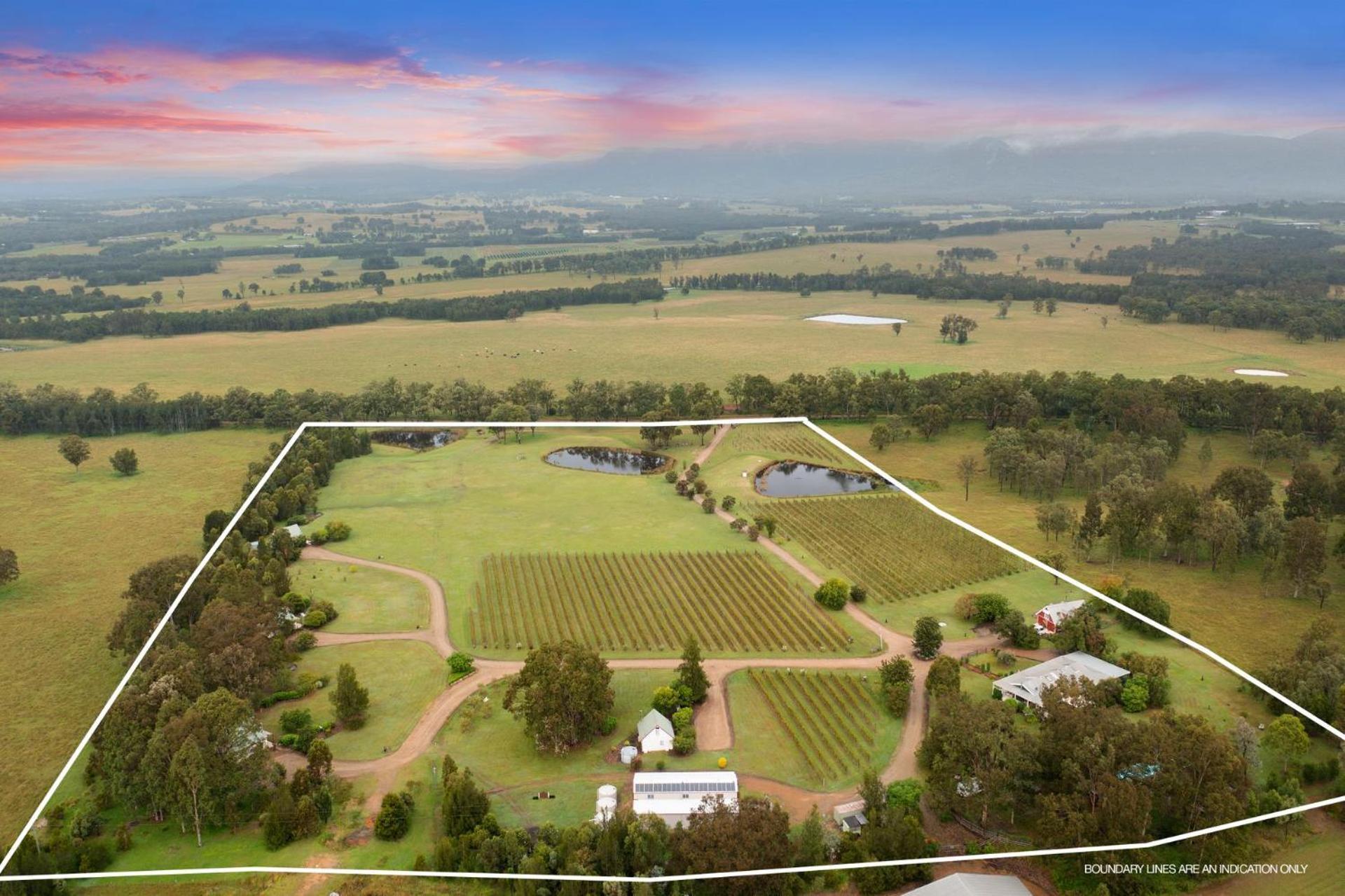 Bracken Ridge Vineyard The Entire Estate Rothbury Εξωτερικό φωτογραφία
