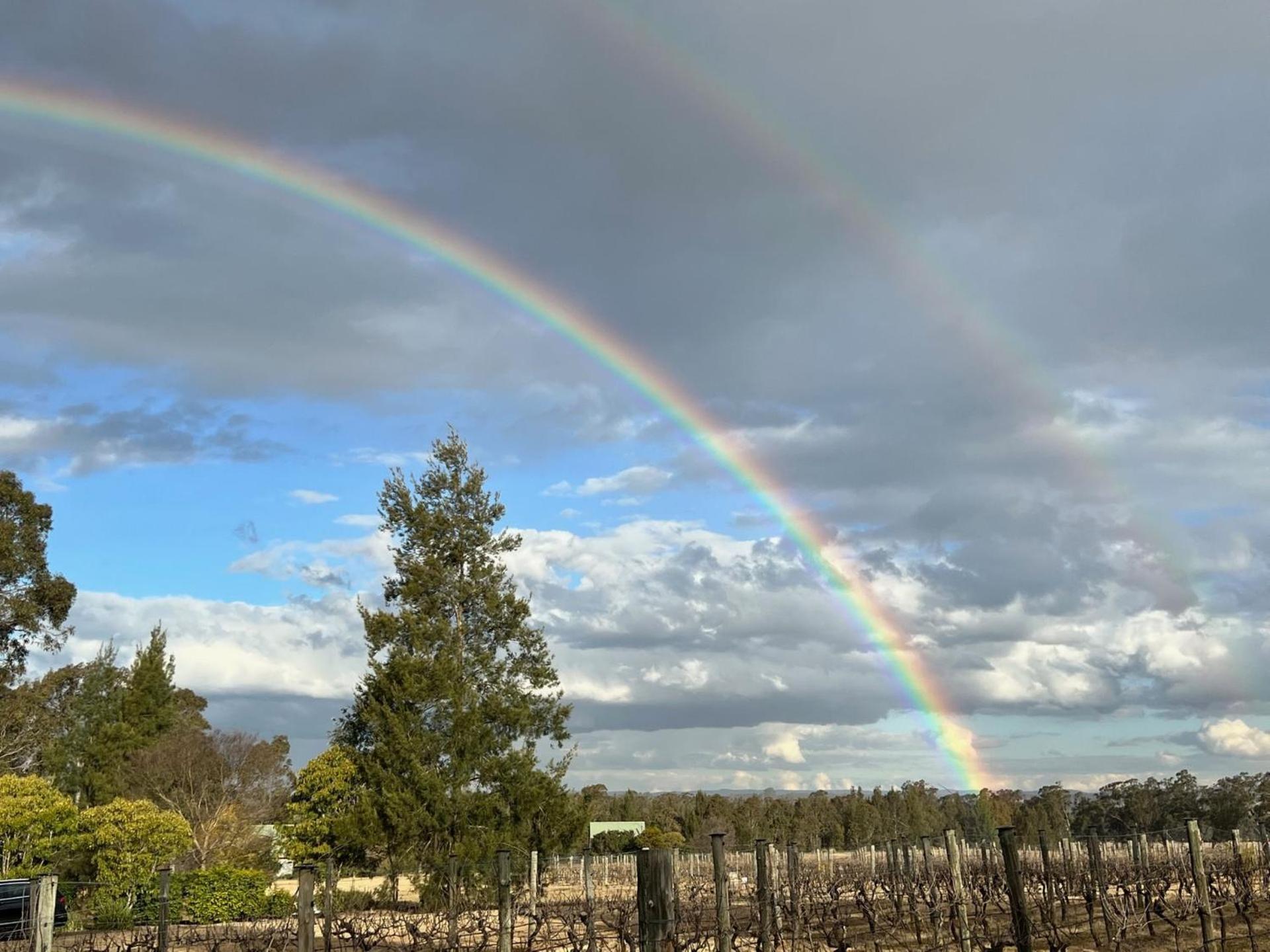 Bracken Ridge Vineyard The Entire Estate Rothbury Εξωτερικό φωτογραφία