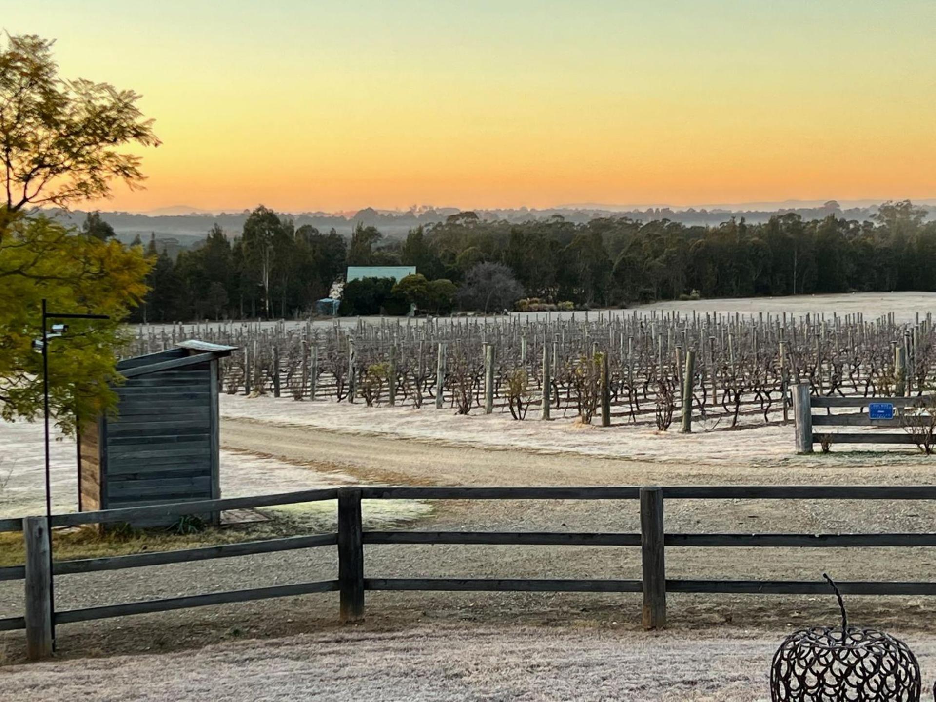 Bracken Ridge Vineyard The Entire Estate Rothbury Εξωτερικό φωτογραφία