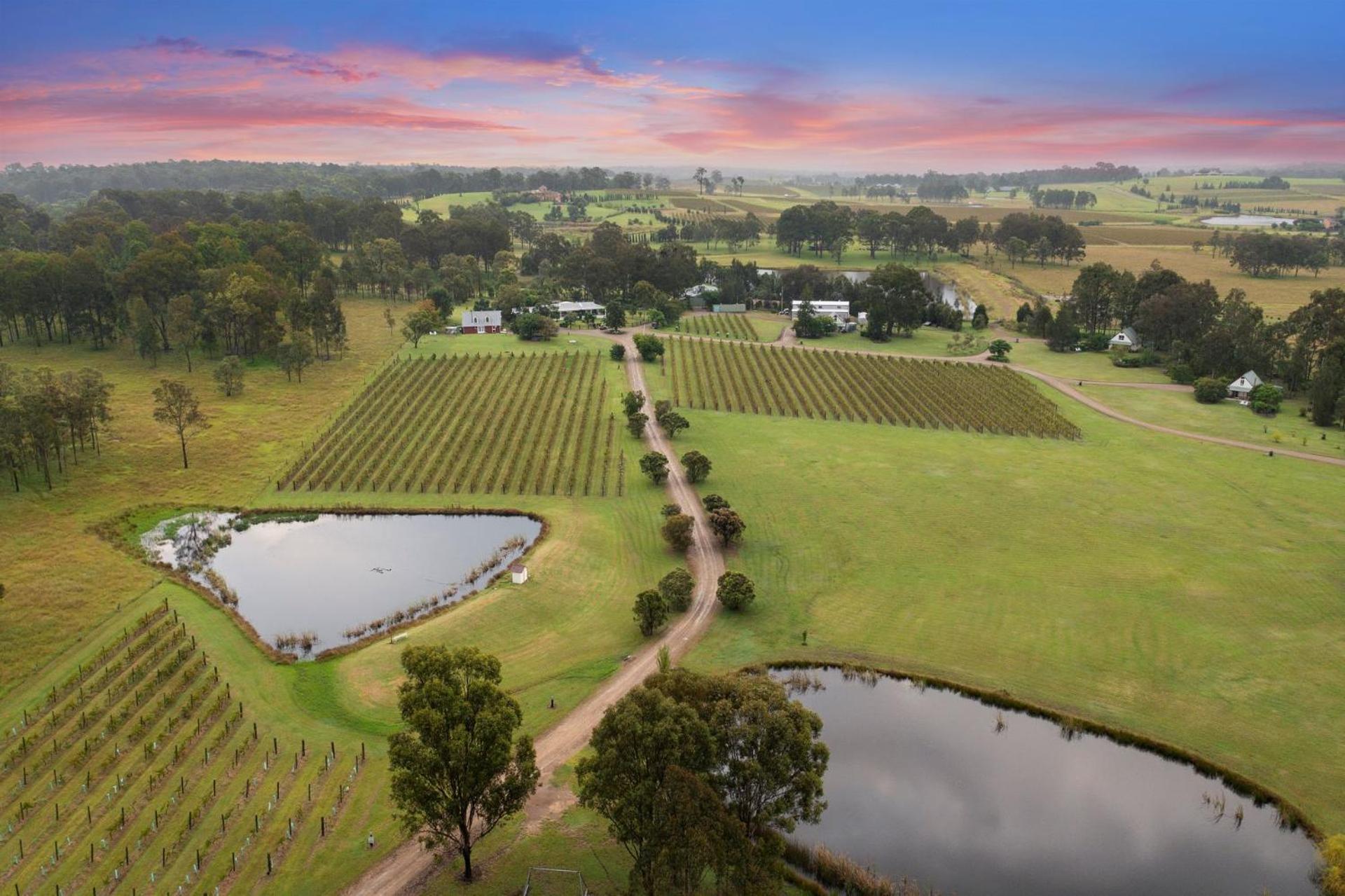 Bracken Ridge Vineyard The Entire Estate Rothbury Εξωτερικό φωτογραφία