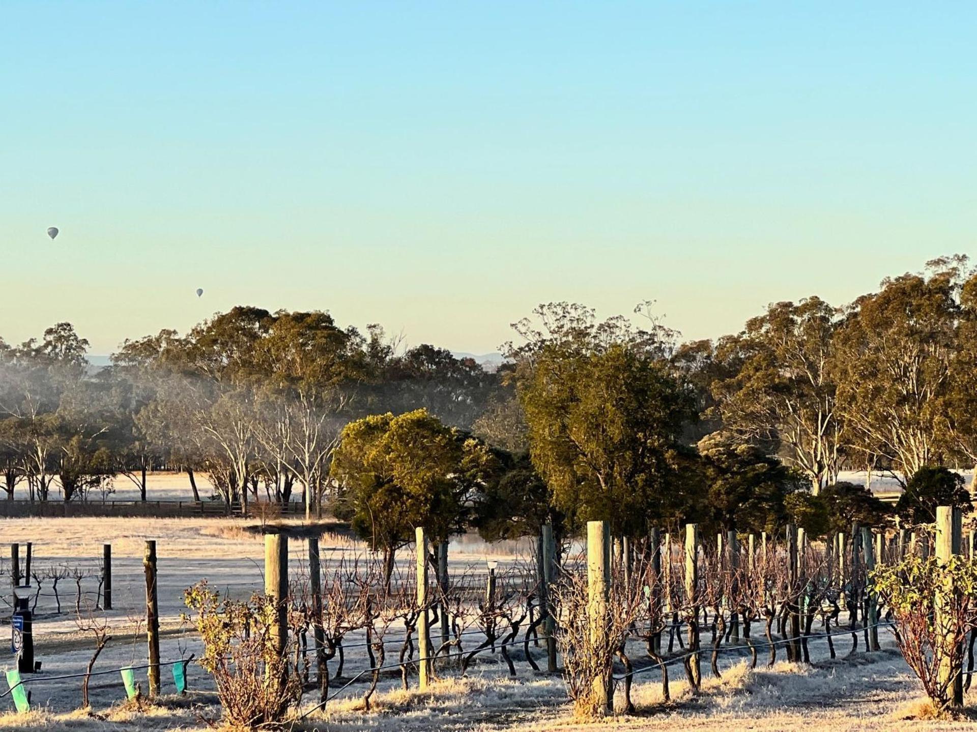 Bracken Ridge Vineyard The Entire Estate Rothbury Εξωτερικό φωτογραφία